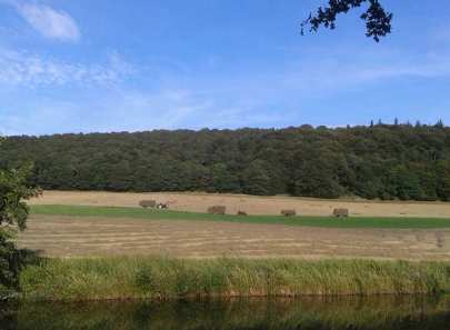 Haymaking scene from K's 6 miles Sunday